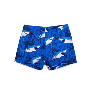 Yoclub Kids's Boys' Swimming Shorts LKS-0059C-A100