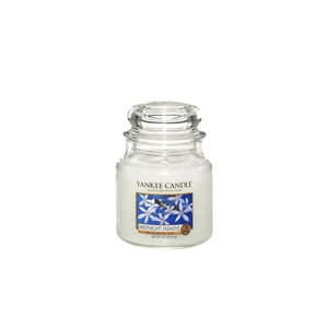 Yankee Candle Midnight Jasmine vonná svíčka Classic střední 411 g