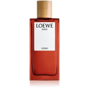 Loewe Solo Cedro toaletní voda pro muže 100 ml