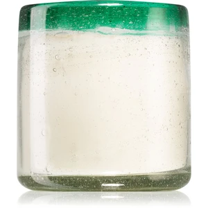 Paddywax La Playa Cactus Flower & Bamboo vonná sviečka 255 g