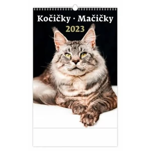 Kočičky/Mačičky 2023 - nástěnný kalendář [Kalendář nástěnný]