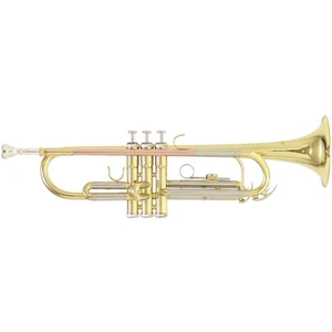 Roy Benson TR-202 Bb Trumpet