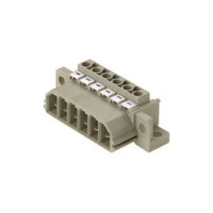 Zástrčkový konektor na kábel Weidmüller STV S 2 SS 1611950000, 36.00 mm, pólů 2, rozteč 7 mm, 10 ks