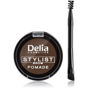 Delia Cosmetics Eyebrow Expert pomáda na obočie odtieň Dark Brown