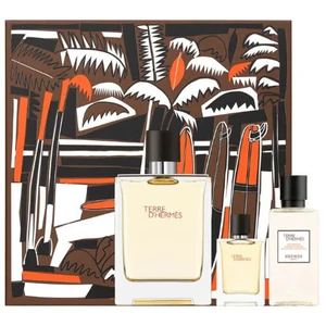 Hermes Terre D` Hermes - EDT 100 ml + sprchový gél 40 ml + EDT 5 ml