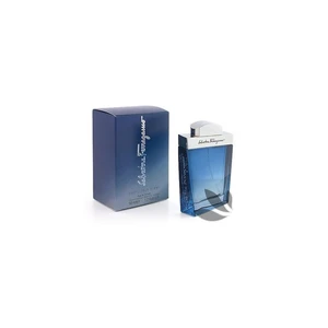 Salvatore Ferragamo Subtil Pour Homme woda toaletowa dla mężczyzn 100 ml