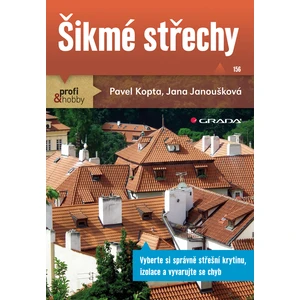 Šikmé střechy, Kopta Pavel