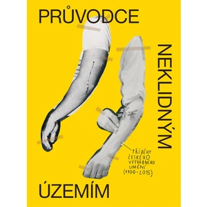 Průvodce neklidným územím I. - David Böhm, Ondřej Horák