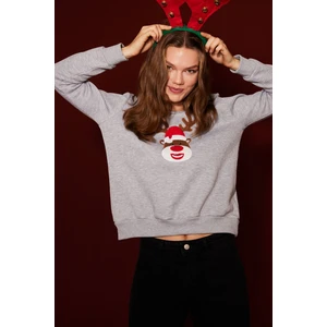 Trendyol Sweatshirt - Gray - Regular fit