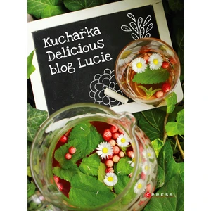 Kuchařka Delicious blog Lucie