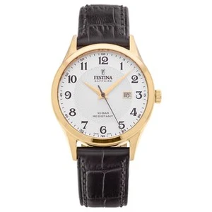 Pánské hodinky Festina 20010/1