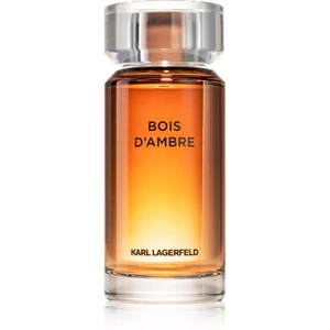 Karl Lagerfeld Bois d´Ambre toaletná voda pre mužov 100 ml