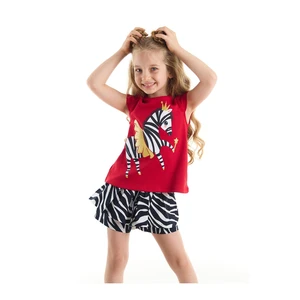 Denokids Ballerina Zebra Girl T-shirt Shorts Set