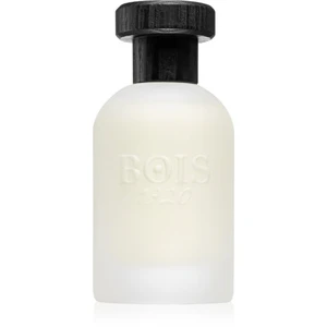 Bois 1920 Real Patchouly parfumovaná voda unisex 100 ml