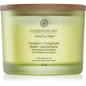 Chesapeake Bay Candle Mind & Body Awaken & Invigorate vonná svíčka I. 312 g