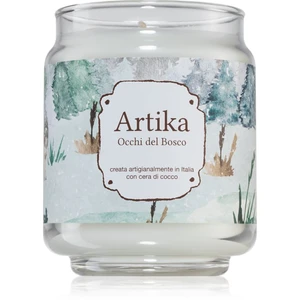 FraLab Artika Occhi Del Bosco vonná svíčka 190 g