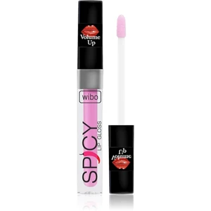 Wibo Lip Gloss Spicy lesk na rty pro větší objem 3 3 ml