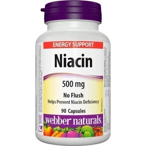 Webber Naturals Niacin B3 90 tabs