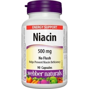 Webber Naturals Niacin B3 90 tabs