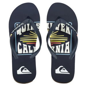 Men's flip-flops Quiksilver MOLOKAI ART SL