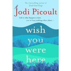 Wish You were here - Jodi Picoultová