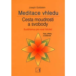 Meditace vhledu - Cesta moudrosti a svobody - Goldstein Joseph
