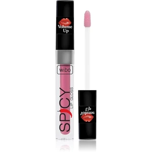 Wibo Lip Gloss Spicy lesk na rty pro větší objem 18 3 ml