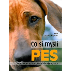 Co si myslí pes - Úplný pohled na chování vašeho psa