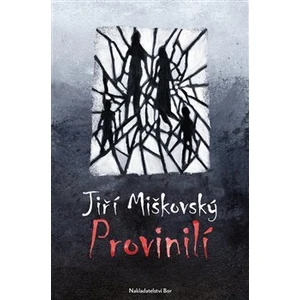 Provinilí - Miškovský Jiří