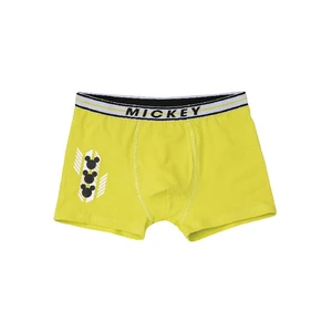 Boys' boxers E plus M Mickey green