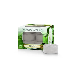 YANKEE CANDLE Camellia Blossom svíčka 9,8g čajová 12ks [Dárkový Sortiment A Dekorace]