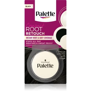 Schwarzkopf Palette Compact Root Retouch vlasový korektor odrostů a šedin s pudrovým efektem odstín Black 3 g