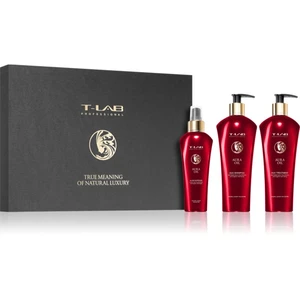 T-LAB Professional Aura Oil darčeková sada (pre výživu a lesk)