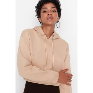 Trendyol Sweatshirt - Brown - Regular fit