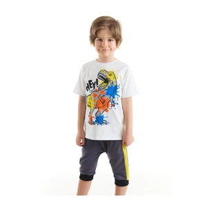 Mushi Dinosaur Splash Boys White T-shirt Gray Capri Shorts Set