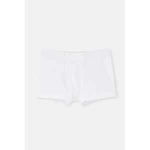 Dagi White Net Antibacterial Boxer