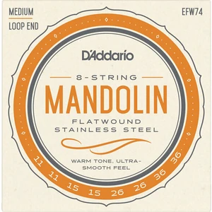 D'Addario EFW74