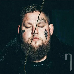 Rag'n'Bone Man - Life By Misadventure (2 LP)