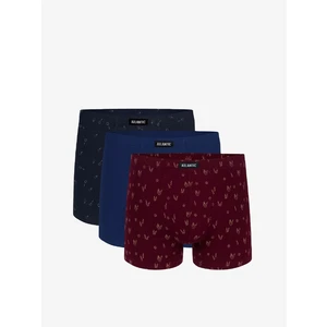 Man boxers ATLANTIC 3pack - multicolor