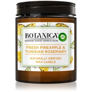 Air Wick Botanica Fresh Pineapple & Tunisian Rosemary vonná svíčka 205 g