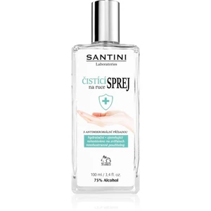 SANTINI Cosmetic Santini spray čistiaci sprej na ruky s antimikrobiálnou prísadou 100 ml