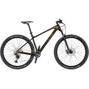 4Ever Scanner Team Schwarz-Gold 19,5'' 2021