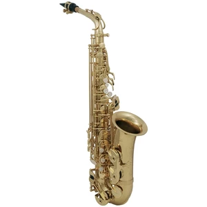 Roy Benson AS-202 Saksofon altowy