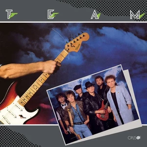 TEAM 1 - Team [Vinyl album]