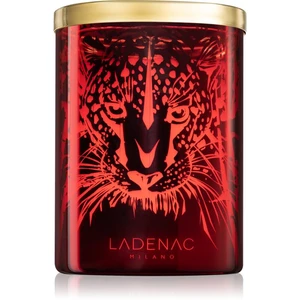 Ladenac Africa Leopardo Predator vonná svíčka 350 g