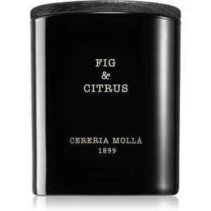 Cereria Mollá Boutique Fig & Citrus vonná svíčka 230 g