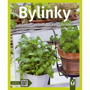 Bylinky na okně, na balkoně a na zahradě - Christine Rechtová