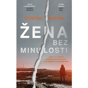 Žena bez minulosti - Dominic Nolan