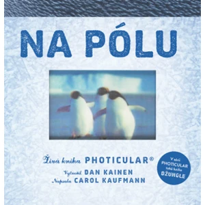 Na pólu - Dan Kainen, Kaufmann Carol