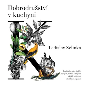 Dobrodružství v kuchyni - Ladislav Zelinka